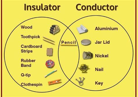 Is Plastic a Good Conductor of Heat? And Why Do Penguins Prefer Styrofoam Coolers?