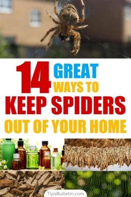 What Can I Spray to Keep Spiders Away? And Why Do They Always Seem to Know When You're About to Clean?