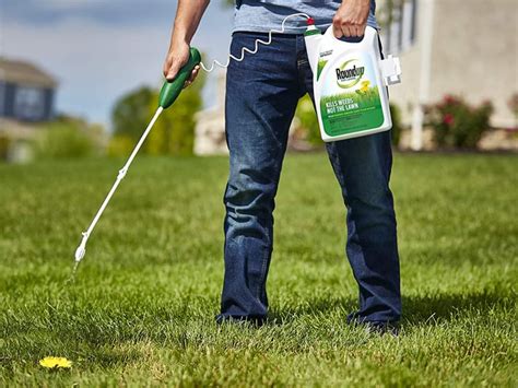 When Should I Spray Weed Killer: A Symphony of Chaos and Order